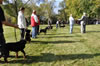 0041 4-6 Mth Males