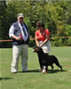 Rottweiler Champion Females: 0672 Mantra Von Evman V2