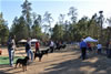 12-18 mth Rottweiler Females: 0407