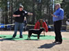 6-9 mth Rottweiler Females: 0151 Bria Von Sederhaus VP