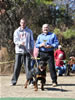 6-9 mth Rottweiler Females: 0182 Farrah Vom Der Stark VP4