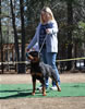 Rottweiler Breeder Class: 0705 Oxana Vom Blaurasen V2
