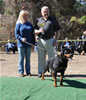 Rottweiler Breeder Class: 0734 Oxana Vom Blaurasen V2