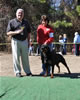 Rottweiler Breeder Class: 0738 Unforgetable Von Evman V4