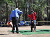 12-18 mth Rottweiler males: 0253 Andros Von Evman V