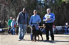 12-18 mth Rottweiler males: 0294 Kooper V Schwarzen Eis V2