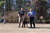12-18 mth Rottweiler males: 0302 Quake Vom Drakkenfels V4