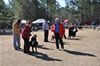 6-9 mth Rottweiler Males: 0049