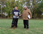 Rottweiler Puppies 4-6 month females: 0379 Exa Vom Verhungerton Fels VP1