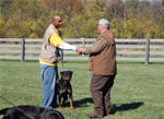 Rottweiler Females Siegerin Class: 0089 Tabea Vom Wilden Westen V1-rated