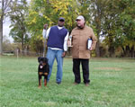 Rottweiler Puppies 6-9 month males: 0332 Sevan Von Der Burg Weibertreu P-rated