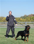 Rottweiler Males Champion Class: 0103lutAdamntBryloukis V1-rated