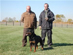 Rottweiler Males Champion Class: 0120lutAdamntBryloukis V1-rated