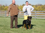 Rottweiler Males Champion Class: 0123 Thundervlys Legend Von Mitternadt V2-rated
