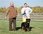 Rottweiler Males Champion Class: 0124 Thundervlys Legend Von Mitternadt V2-rated