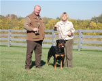 Rottweiler Males Champion Class: 0126 Wildtimbers Tug V3-rated