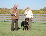 Rottweiler Males Champion Class: 0127 Wildtimbers Tug V3-rated