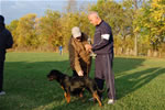0455 Havoc Vom Waldbach VP1 NC REG Best Female Puppy