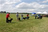 Kennel Class: DSC 0006