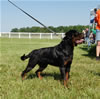 12-18 Males: 0033 Bobby Von Kozak