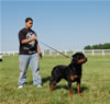 12-18 Males: 0037 Kash Von Scosher