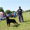 12-18 Males: 0091 Bobo Von Worldintal
