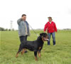 9-12 Males: 0124 Kizer Iron Lion