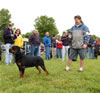 9-12 Males: 0129 L And L Guns N Roses V Kayara