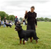 9-12 Males: 0163 Eamon Von Hause Milsped