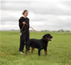 9-12 Males: 0164 Eamon Von Hause Milsped