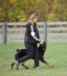 Barbara Saporito: 0050 Beowulf Vom Waldbach