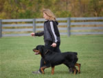 Barbara Saporito: 0051 Beowulf Vom Waldbach