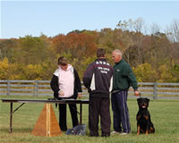 USRC Schutzhund National Championships: 0070 Chase Vom Walbach
