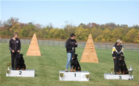 USRC Schutzhund National Championships: Sch Champions 0043