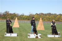USRC Schutzhund National Championships: Sch Champions 0053
