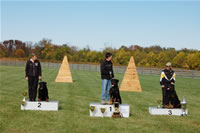 USRC Schutzhund National Championships: Sch Champions 0054