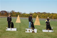 USRC Schutzhund National Championships: Sch Champions 0055