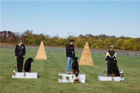USRC Schutzhund National Championships: Sch Champions 0057