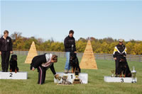USRC Schutzhund National Championships: Sch Champions 0063