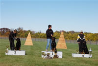 USRC Schutzhund National Championships: Sch Champions 0080