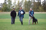 Stan Trustman: 0145 Apollo Vom Schloss Maurach
