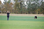 Barbara Saporito: 0115 Beowulf Vom Waldbach