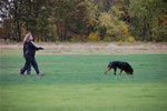 Barbara Saporito: 0118 Beowulf Vom Waldbach